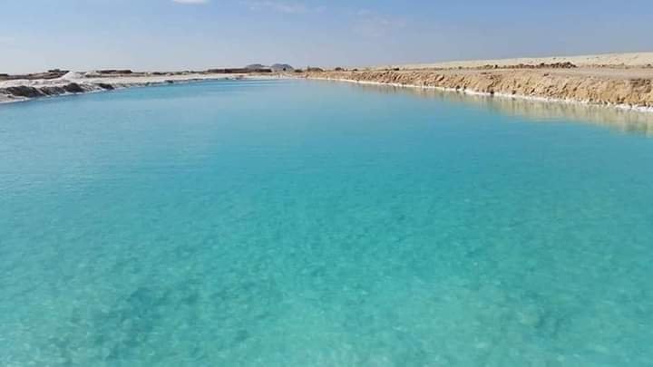 FB IMG 1648669354395