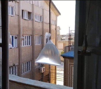 القضاء على الذباب بدون مبيد حشري