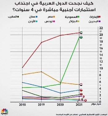 تقرير الاستثمار