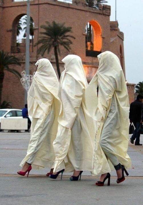 فراشية ليبي 