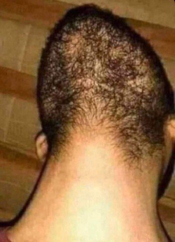 كروية الأرض 