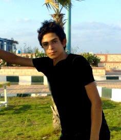 hadedy